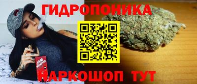 сатива Обь