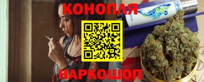 сатива Обь