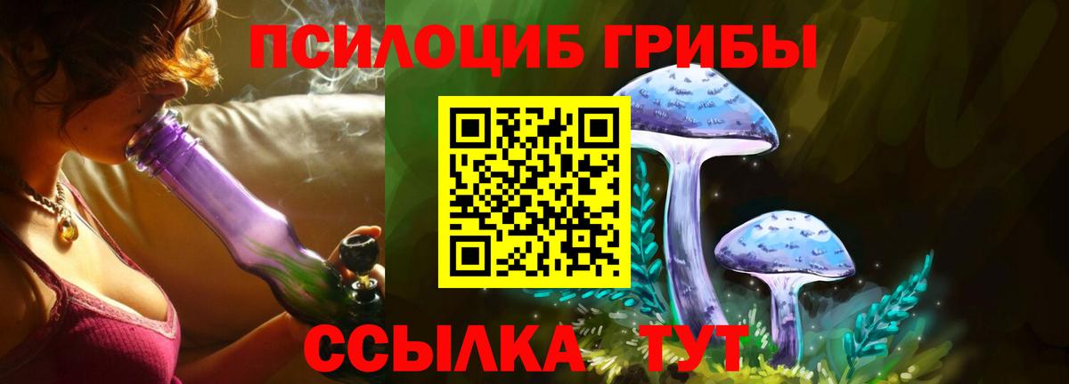 Псилоцибиновые грибы MAGIC MUSHROOMS  Вход с VPN  Урай  Галлюциногенные грибы Psilocybine cubensis 